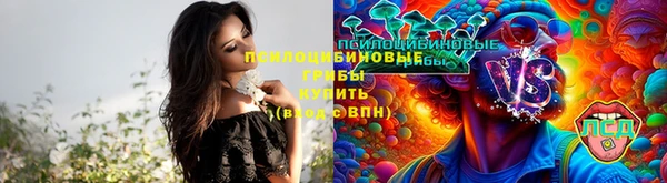 крисы Кинешма
